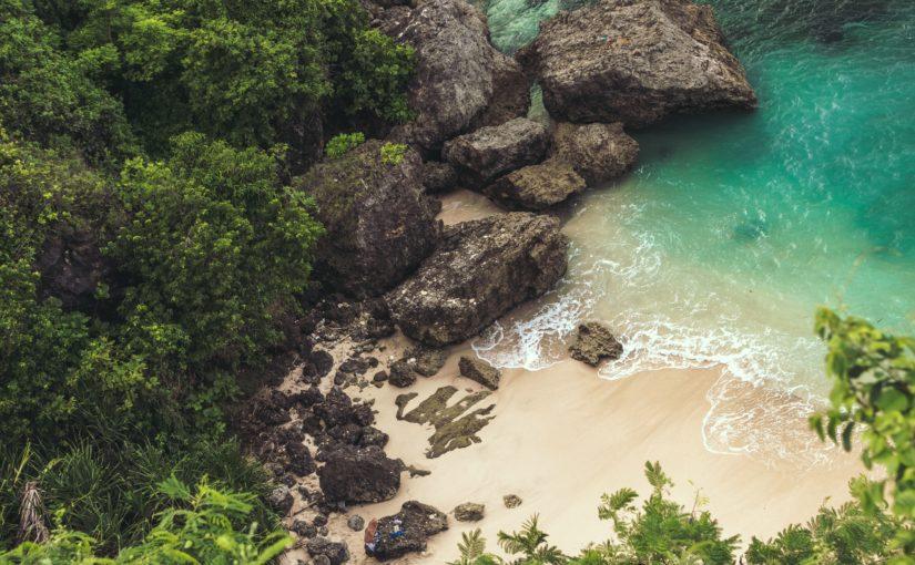 BEDBUGS on my Island Getaway - Corner Pharmacy