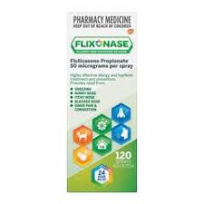 FLIXONASE Nasal Spray 120D Box