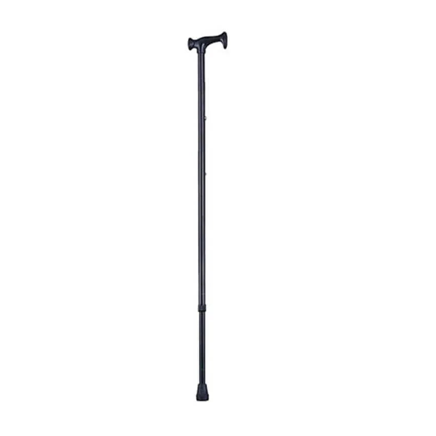 walking stick